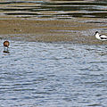 IMG_8964