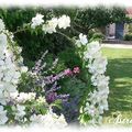 Entré du jardin