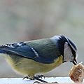IMG_8006 - Copie