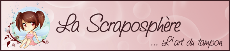SCRAPO_tampon900
