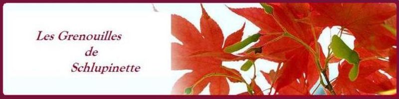 Red_Leaves_1_