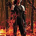 Katniss Catching Fire Variety