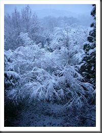 NEIGE04 NEIGE04