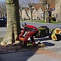 _IGP3495