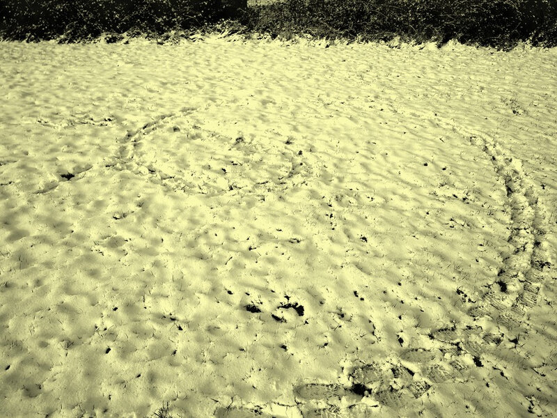 Vortex2