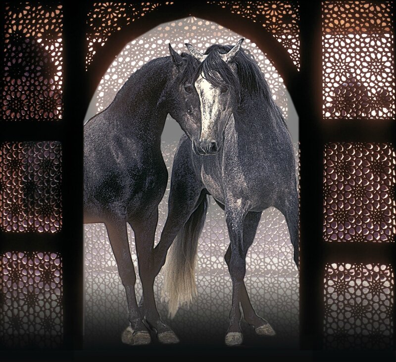 CHEVAUX_Fathepur_Sikri