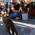 IMG_1380