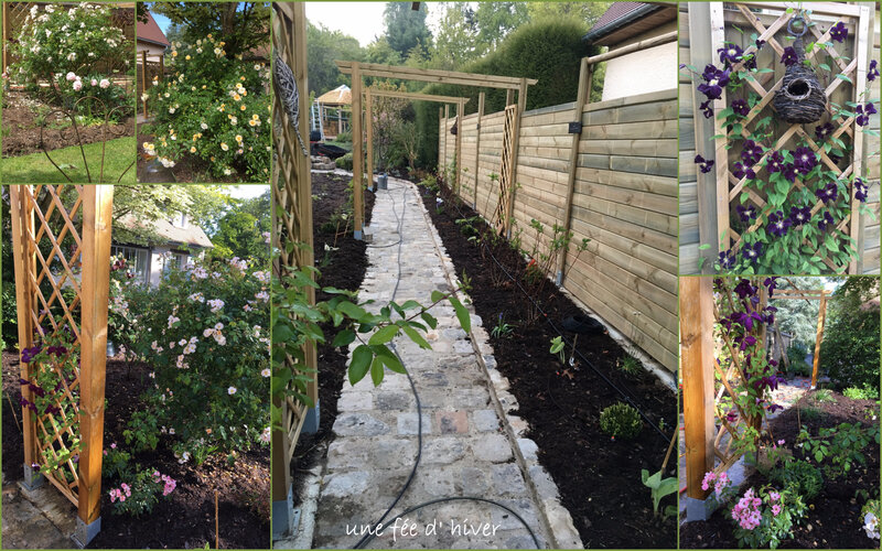 JARDIN AVRIL - MAI debut juin 2017