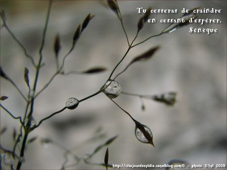 2011_E_CRAIN