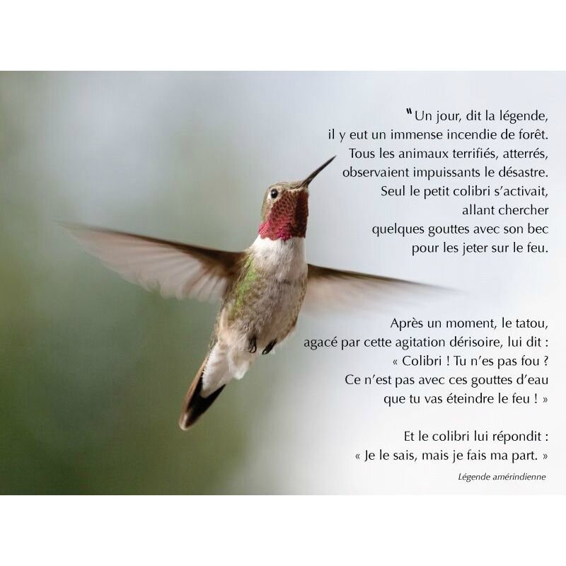 affiche-legende-colibri (2)