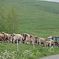 DSC06156