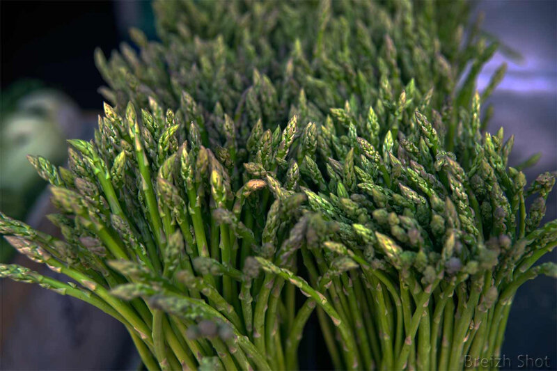 asperge3