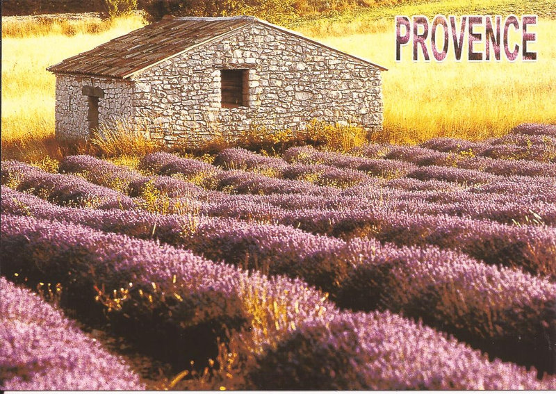 Provence et cabanon dans les lavandes