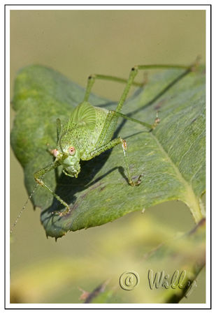 IB7L3199_blog