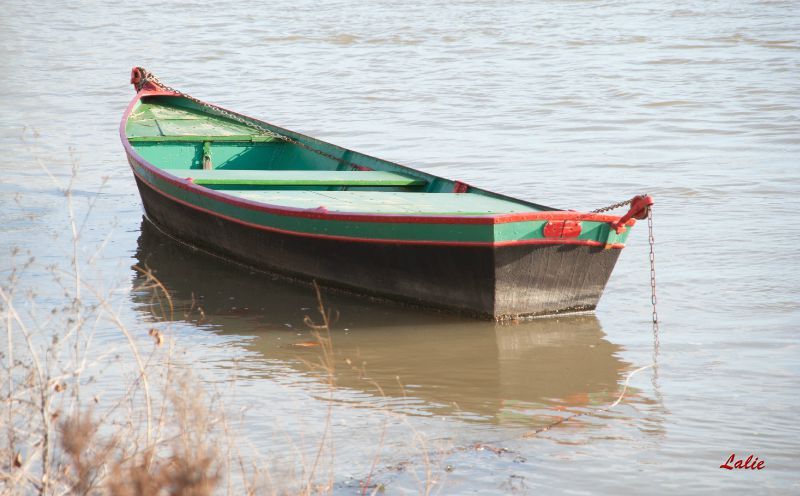 La Barque Abandonee 365 Jours Pour Apprivoiser La Lumiere