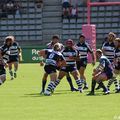 DSC_2055c