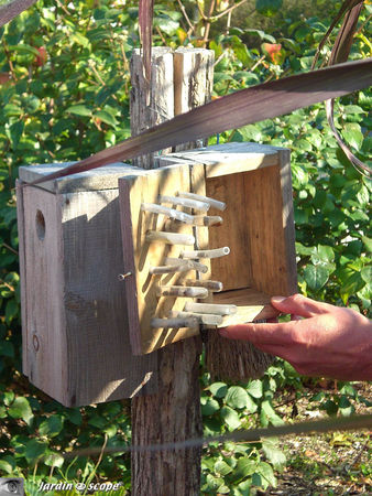 Boite d'observations de reproduction des insectes