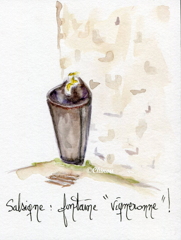 Salsigne