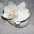 table blanche