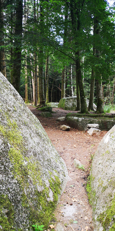 Dhars-Hauts 7