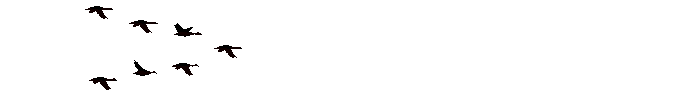 anil0042