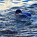 IMG_8231 - Copie