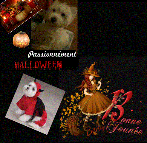 westie hall2