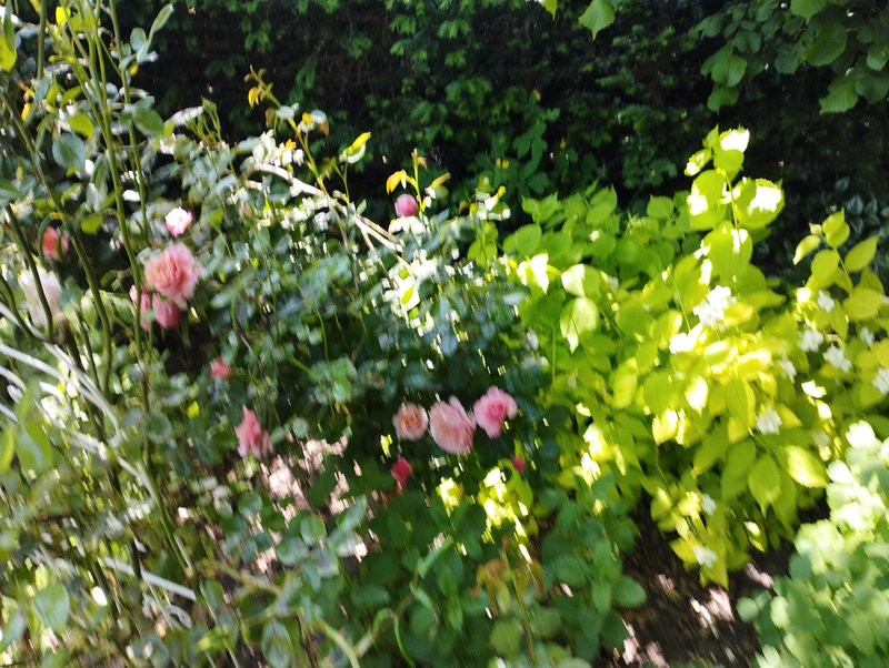 IMG_20230529_123922