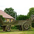 IMGP5508