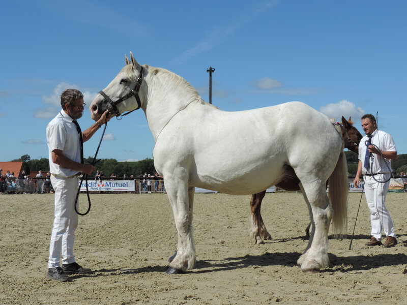 Roxane de Tourville - 6 Septembre 2020 - National Boulonnais - Samer (62) - 8e (Suitées (13 à 18 ans))