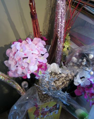 fleurs_tiges
