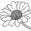 Atout coeur : la fleur