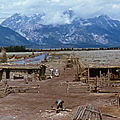 L'homme des vallées perdues (shane) (1953) de george stevens