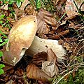 DSC05691