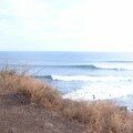 r, la pointe du diable ! spot sharky et gras
