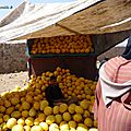 P1010045 - Copie