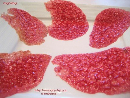 GATEAU_CHOCOLAT_PISTACHE_ETTUILES_TRANPARENTES_AUX_FRAMBOISES