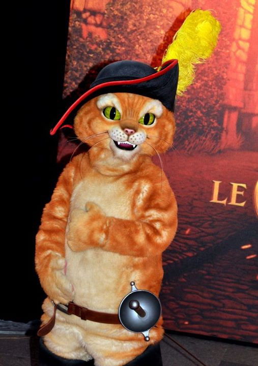 Le Chat potté