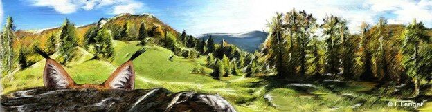40 ans du retour du lynx dans le Jura Lucile Fenger