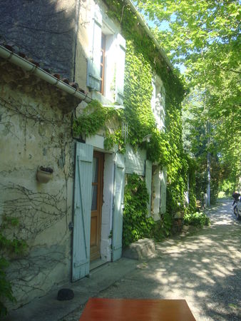 DSC02442
