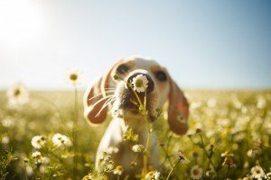 iStock-808022474-300x200