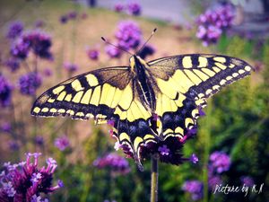 DSCN3194
