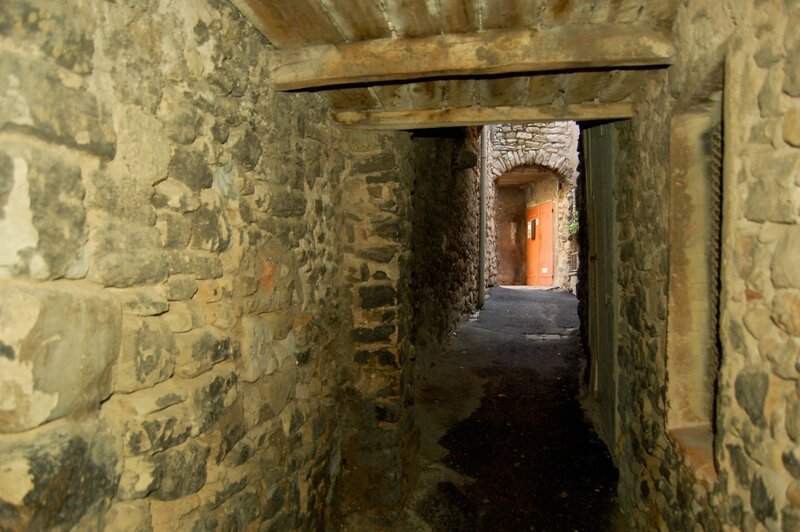 passage de trou de Mme Lion2
