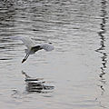 IMG_0679 - Copie