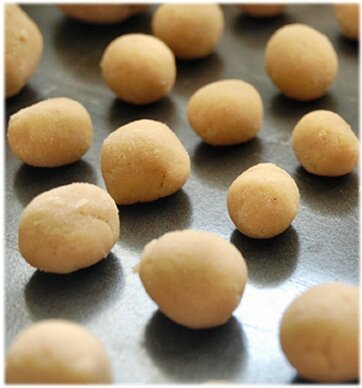 biscuitlapin (4)