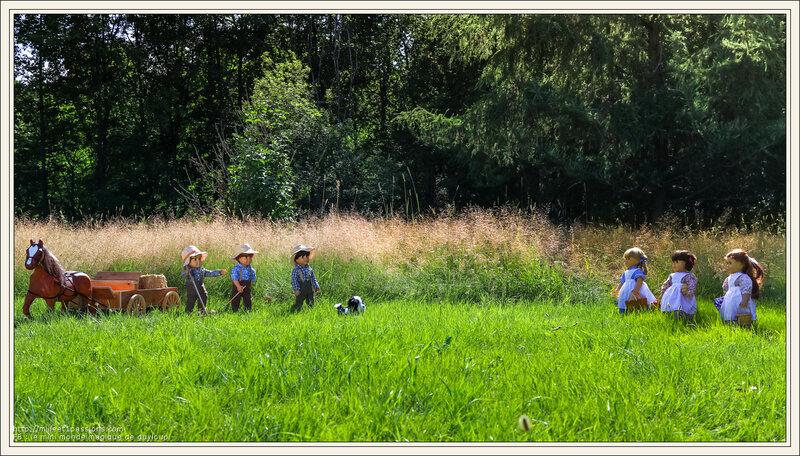 IMG_3954-1-2