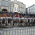 Boeuf gras à Bazas, jeudi 7 février 2013