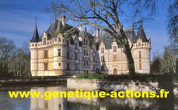 Azay le rideau