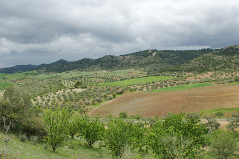 DSC06397
