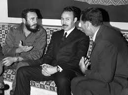 Résultat de recherche d'images pour "fidel castro algerie"